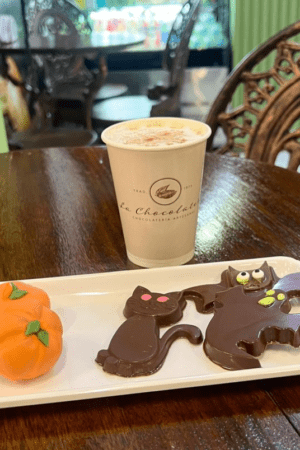 Gatos de Chocolate